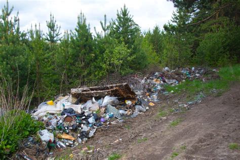 Contaminación Del Bosque Por Los Desperdicios Del Hogar Una Pila De Basura Foto de archivo ...