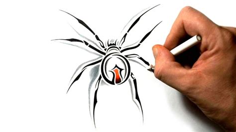 How to Draw a Black Widow Spider - Tribal Tattoo Design - YouTube