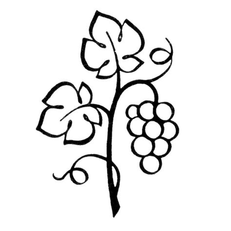 Grape vine clip art free | Clipart Panda - Free Clipart Images