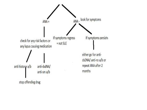 Approach to a patient with positive ana levels (2)