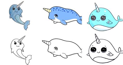 25 Easy Narwhal Drawing Ideas - How to Draw a Narwhal