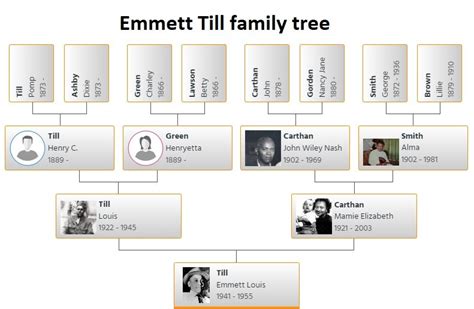 Emmett Till Family Tree