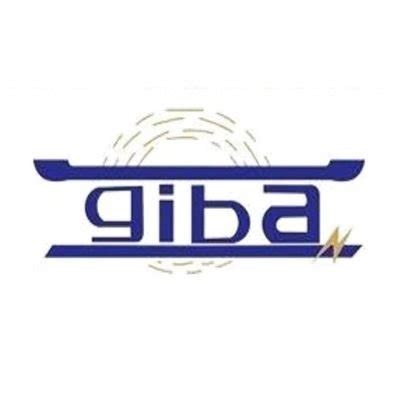 Political groups' attacks on media houses baseless - GIBA