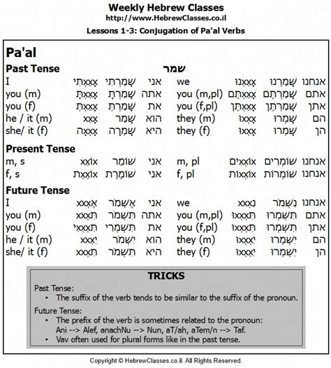 Hebrew Verb Conjugation Worksheets | TUTORE.ORG - Master of Documents