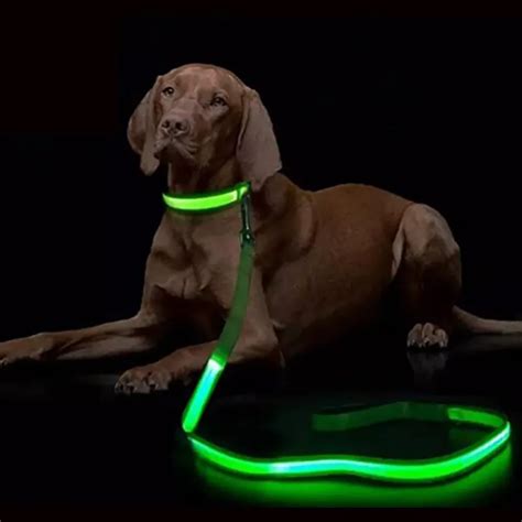 LED-Light-Up-Dog-Leash-Luminous-Rope-Lead-Leash-For-Dog-Safety-Flashing ...