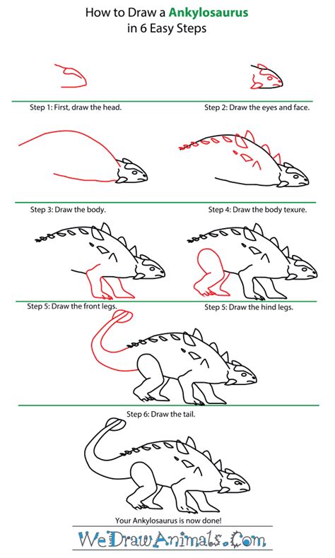 How to Draw an Ankylosaurus