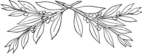 Laurel Branches | ClipArt ETC