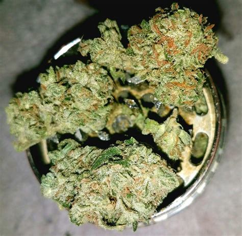 Ghost Train Haze Weed Strain Information | Leafly