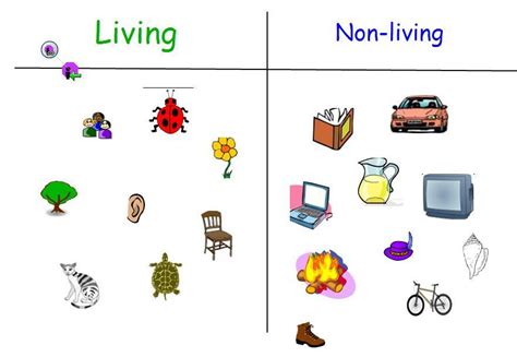 Non Living Organisms