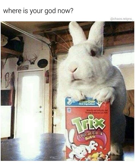 Silly Rabbit - Memebase - Funny Memes