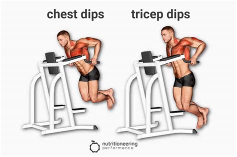 How to Do Chest Dips vs Tricep Dips for Upper Body Gains