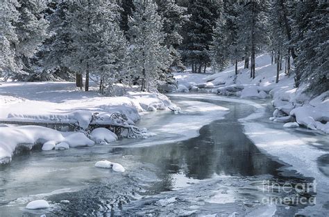 Winter in Yellowstone Wallpaper - WallpaperSafari