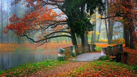 Paisaje del parque, río, agua, bosque, árboles, hojas, colorido, otoño Fondos de pantalla ...