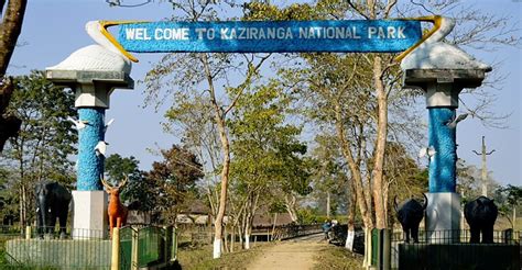 Kaziranga National Park Will Remain Open For Eight Months