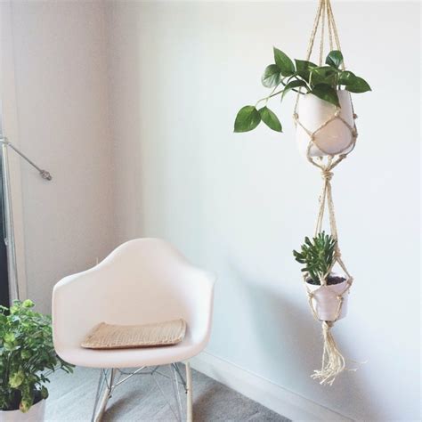 Plantas colgantes - ideas para el interior