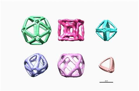 DNA origami: designing structures with potential new uses in ...