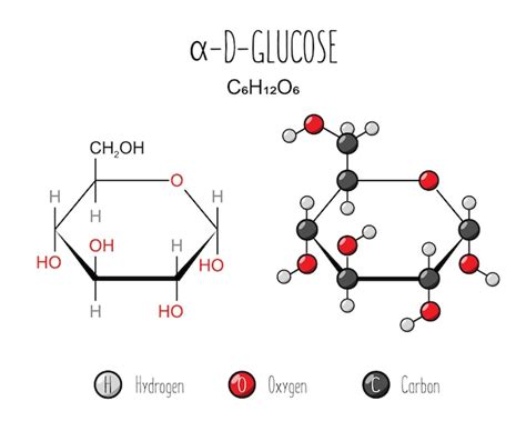 Premium Vector | Alpha glucose representation skeletal formula and 2d ...