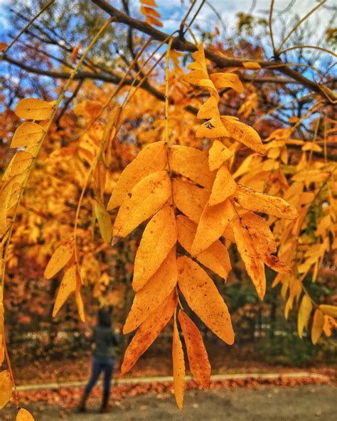 Fall Foliage in New Hampshire: 15 awe-inspiring photos - my Zen and ...