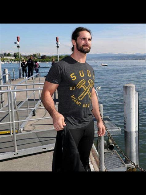 545 best images about Seth Rollins on Pinterest | Posts, Dean ambrose ...