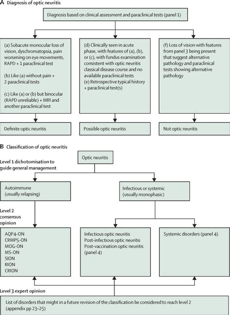 Diagnosis And Classification Of Optic Neuritis The Lancet, 45% OFF