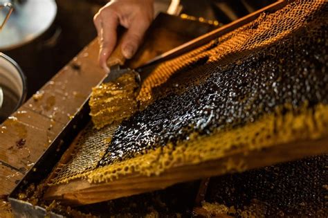 Premium Photo | Male beekeeper opens beehive honeycomb honey harvesting