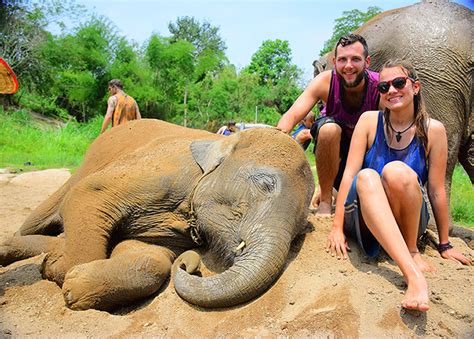 Where You Can Have an Elephant Bathing in Phuket | UME travel