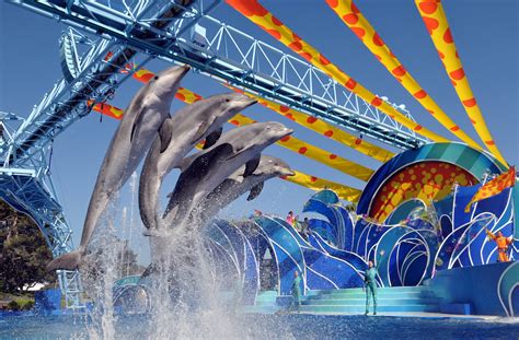 The Not-So-Disney Magical Blog: Blue Horizons - The Complete Dolphins Show at SeaWorld