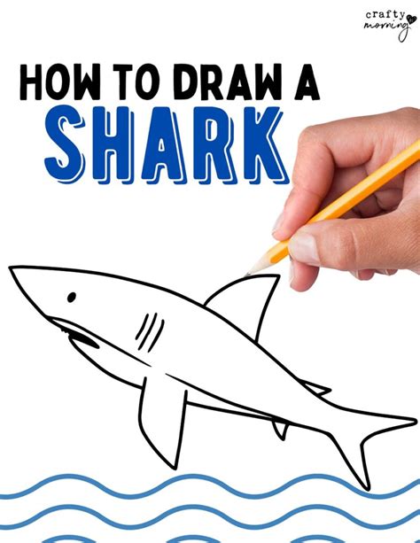 How to Draw a Shark (Easy Step by Step) - Crafty Morning