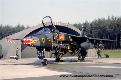 The Aviation Photo Company | Jaguar (Sepecat) | RAF 54 Squadron SEPECAT Jaguar GR.1 XX732 (1979)