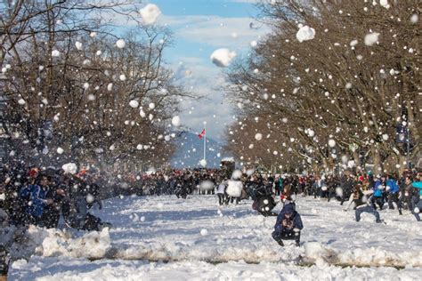 An epic campus-wide snowball fight happened at UBC today (PHOTOS) | News