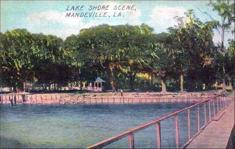 Tammany Family: Mandeville Lakefront Postcards