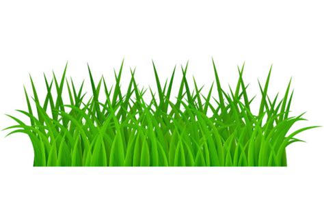 Green Grass on White Background Graphic by alsstocks450 · Creative Fabrica