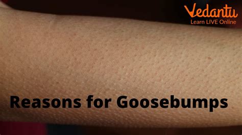 Learn Why Do We Get Goosebumps and the Processes to Get Rid of Them.