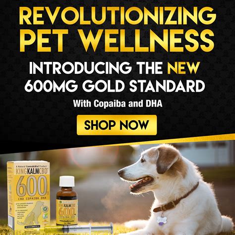 My King Kanine Review: Is King Kalm the Best CBD Oil for Dogs in 2020? : CBDVendorReviews