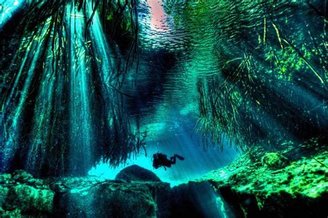 Cenote Manati, Mexico - HDR - ScubaBoard Gallery | Scuba diving, Cave ...