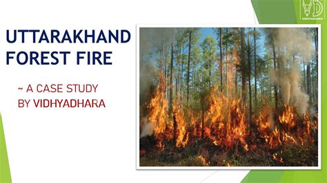 Uttarakhand Forest Fire 2020 Analysis | Forest fires and it's reasons ...