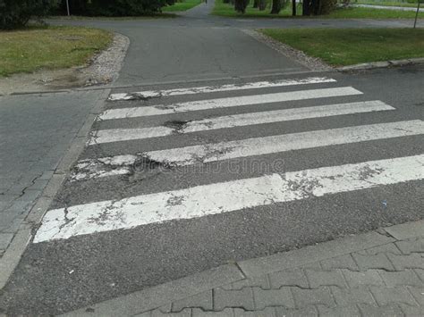 Zebra crossing stock photo. Image of lines, crossing - 43174208