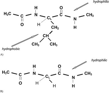 🎉 Hydrophobic and hydrophilic. Hydrophobic vs Hydrophilic: Can You Spot ...