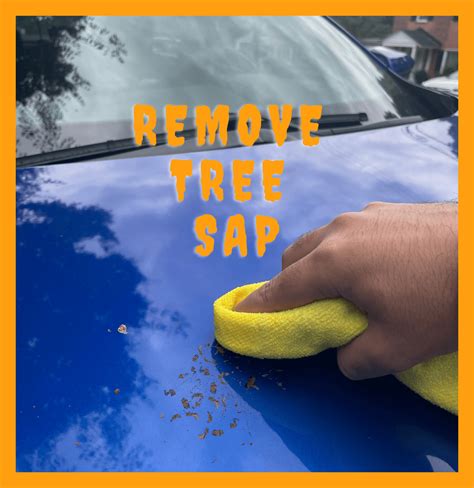 How to Remove Tree Sap from Car Without Damaging Paint!