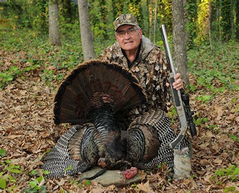 Wild Turkeys Facts and Hunting – The Poultry Guide