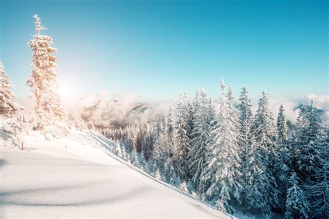 Beautiful wintry landscape stock image. Image of frost - 101355895