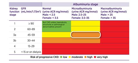 A practical guide to medicines for chronic kidney disease