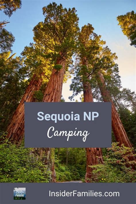 Sequoia National Park Camping | Insider Families