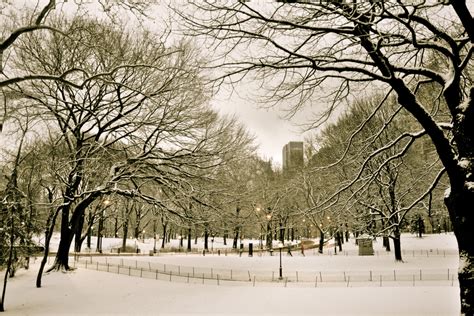 Central Park in the Snow by Sivan Askayo | Artfully Walls