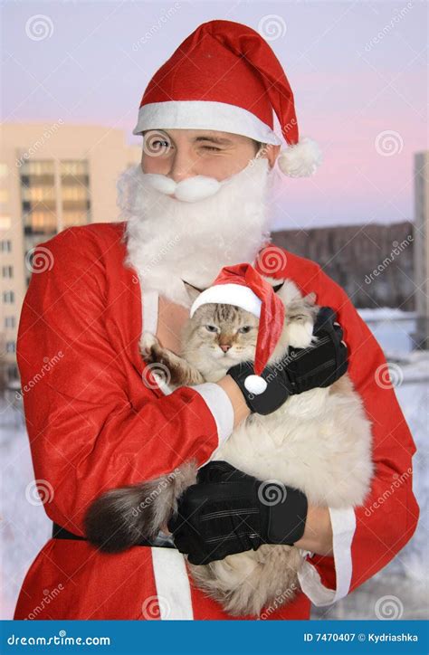 Santa with cat, christmas stock image. Image of animal - 7470407