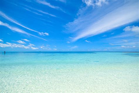 Clear Blue Shore · Free Stock Photo