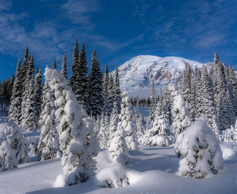 Exploring Mount Rainier in the Winter - Travel and Photography Guide