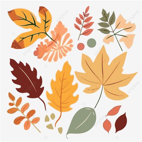 Leaves Autumn Clipart Vector Set Of Autumn Leaves And Leaves Cartoon, Leaves Autumn, Clipart ...