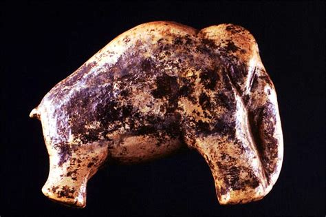 The Earliest Known Carving of a Mammoth : History of Information