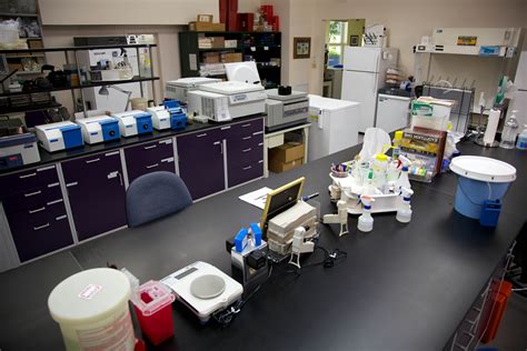 Free picture: office, laboratory, desk
